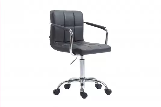 Szary Brak Szary Brak