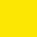 Żółty Brak